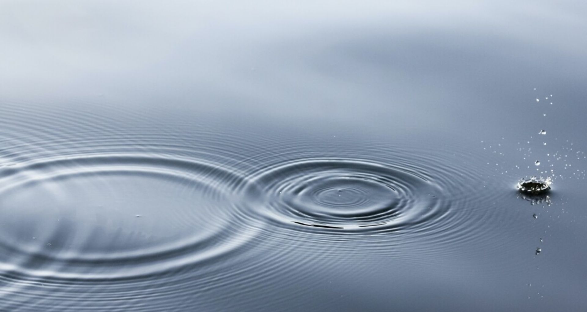 A water droplet creates distinct circular ripples in otherwise calm waters.